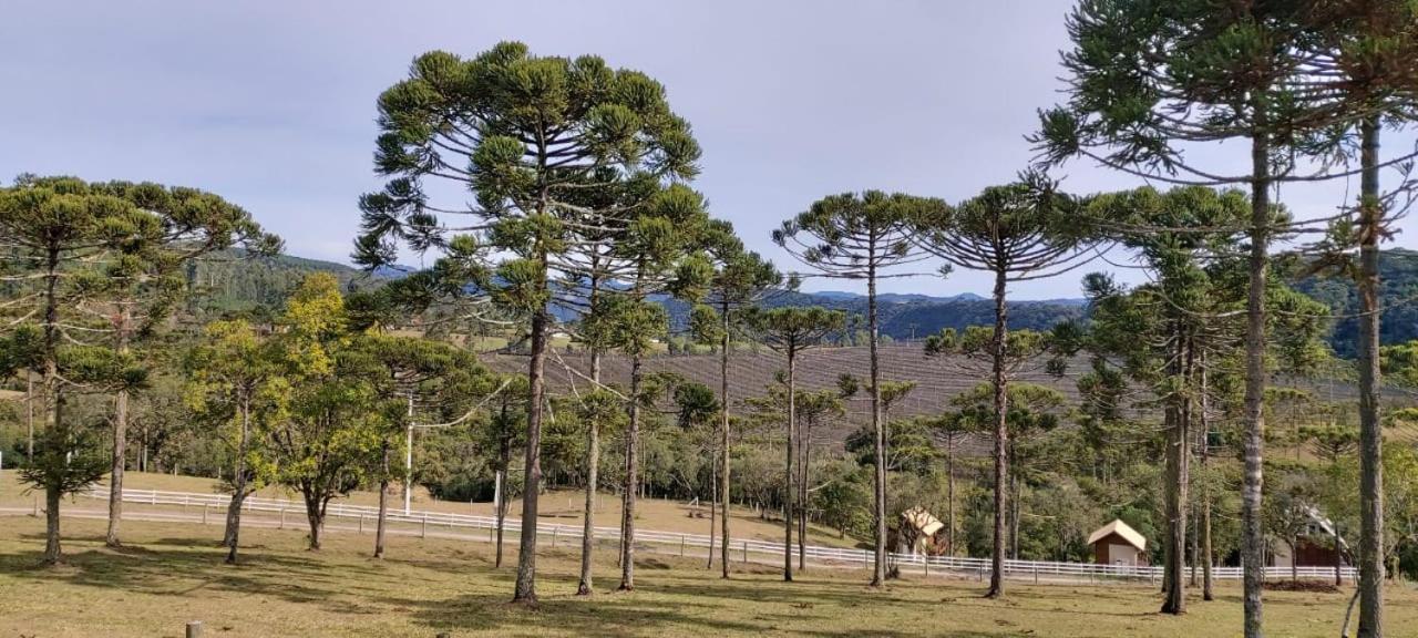 Chale Bienz - Hospedagem Rural ウルビシ エクステリア 写真