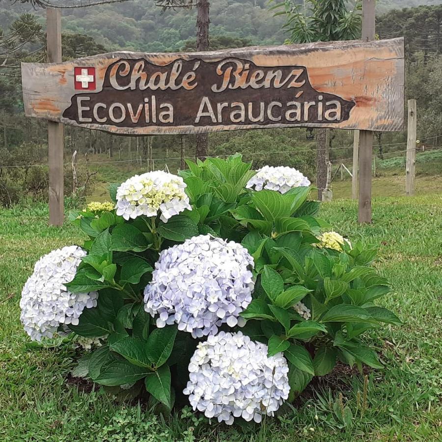 Chale Bienz - Hospedagem Rural ウルビシ エクステリア 写真